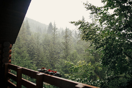 山上雨林旁的木屋门廊图片