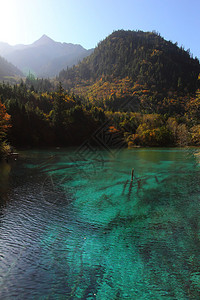 在教科文组织世界遗产地点Jiuzhaigou山背景图片