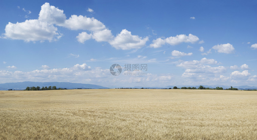 法国普罗旺斯农业地貌风景观图片