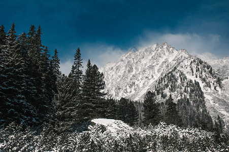 美妙的冬季风景戏剧横扫蓝天斯洛伐图片