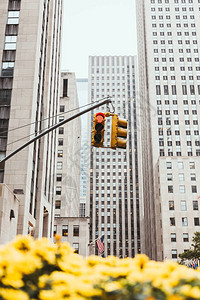 有交通灯和新纽约市建筑的城市景图片
