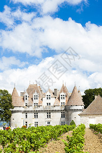 Monbazillac城堡与葡萄园图片
