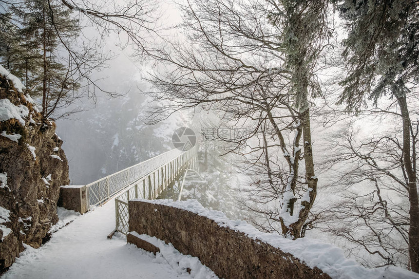 德国纽施旺斯坦城堡附近雪中树木图片