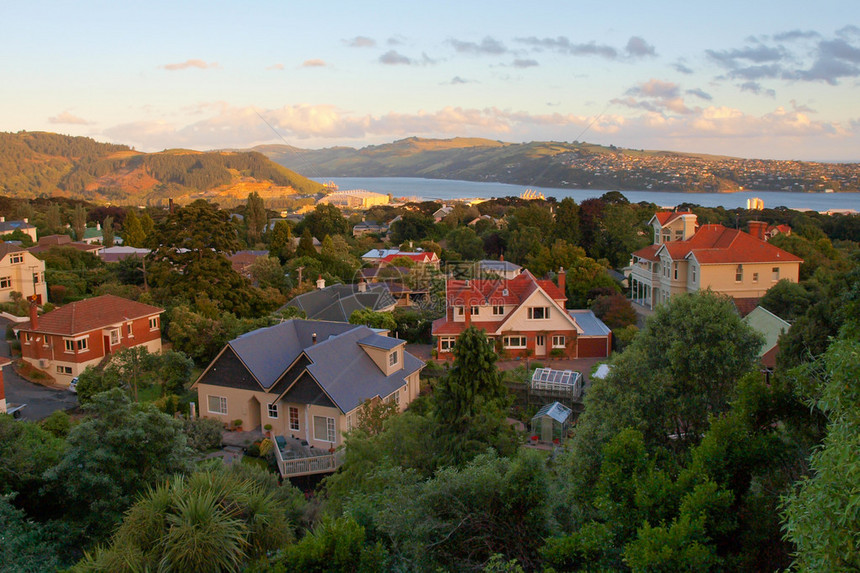 在新西兰南部岛屿Dunedi图片