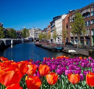 阿姆斯特丹的运河之一图片