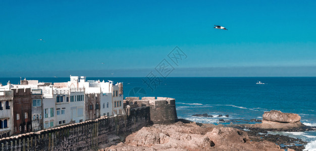 位于Essaouira图片
