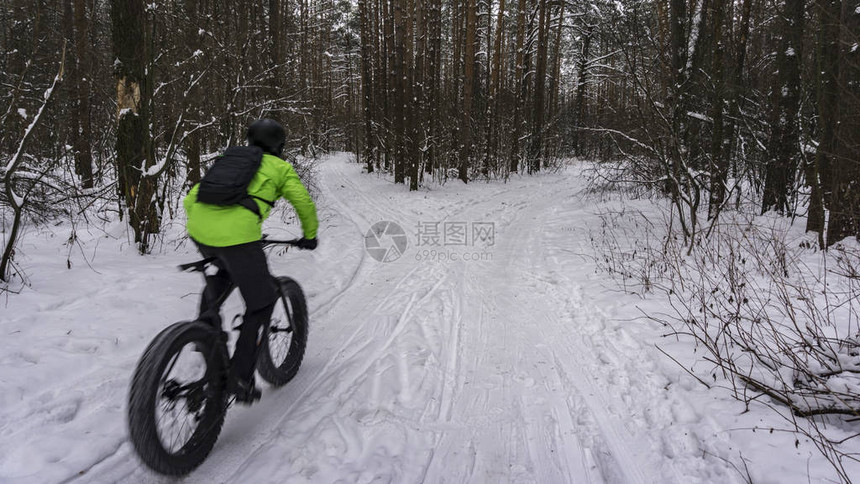 胖子自行车也称为胖子自行车或胖胎自行车在冬季森林中骑图片