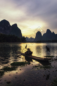 漓江鸬鹚渔夫在著名的漓江边休息在桂林阳朔附近的图片