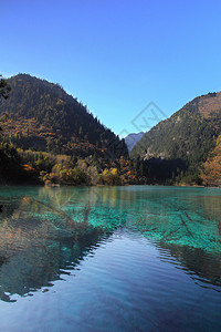 反映在教科文组织世界遗产地点Jiuzhaigou山谷的一个背景图片