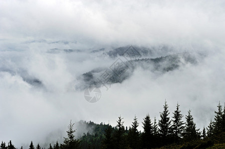 春季山区大雾图片