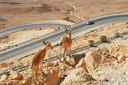 在以色列内盖夫沙漠的RamonCraterMakhteshRam图片