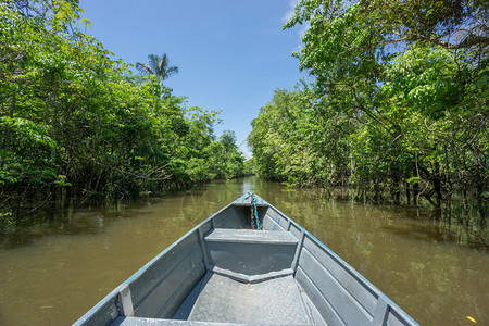 巴西里约内格罗河亚马逊河的船和背景图片