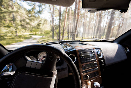 从带方向盘的汽车内部看阳光明媚的森林图片