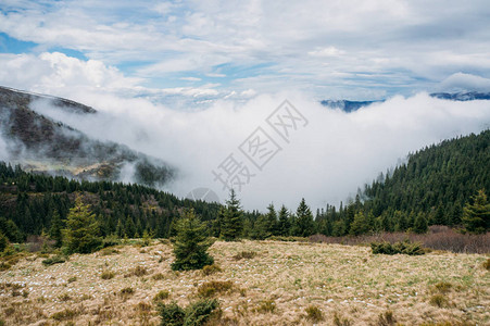 乌克兰喀尔巴阡山带林的风景观图片