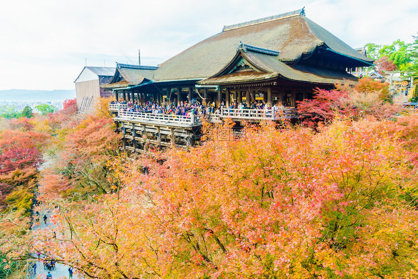 日本京都清水寺的美丽建筑图片