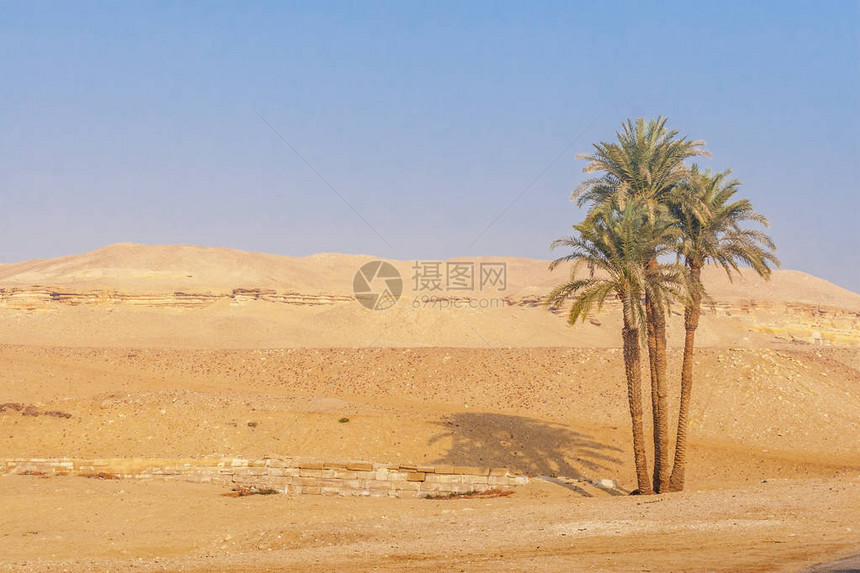 埃及Saqqara法老Djoser的图片