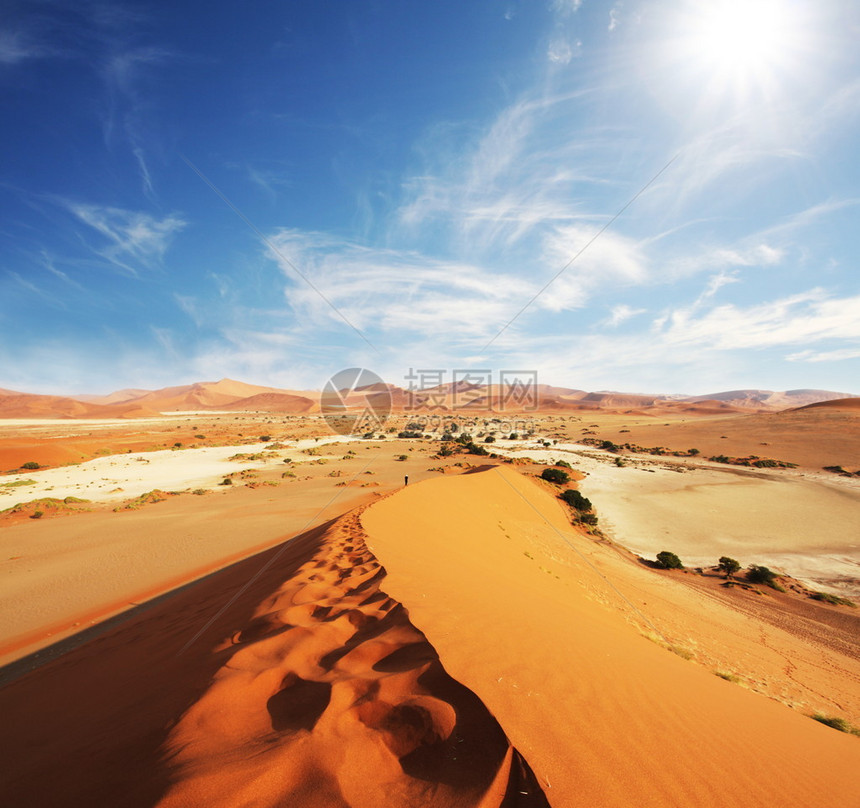 沙漠丘图片