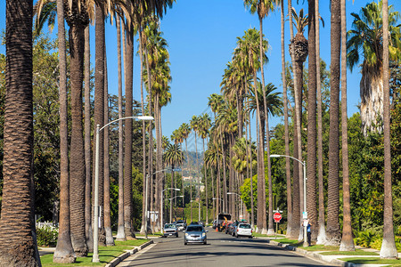 加利福尼亚州比佛利山庄的街道图片