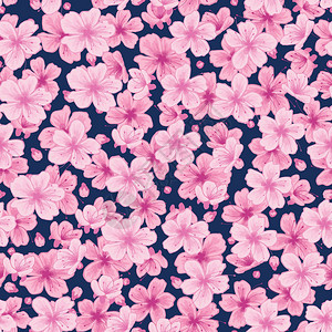 铺满粉色樱花的深蓝色背景图图片