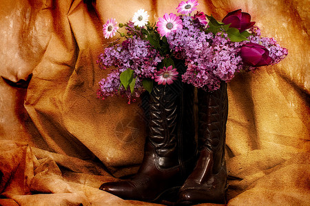 牛仔靴内的紫色花朵背景图片