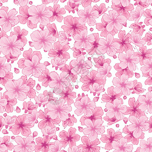 樱桃花铺满樱花的白色背景图设计图片