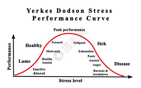 YerkesDodson应力能曲线图片