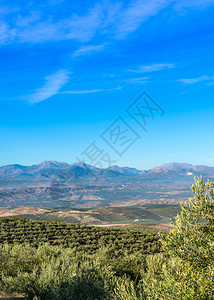 西班牙安达卢西亚让省卡佐拉附近奥利图片