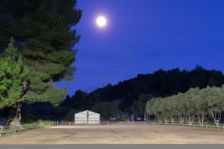 反对满月的马竞技场背景图片