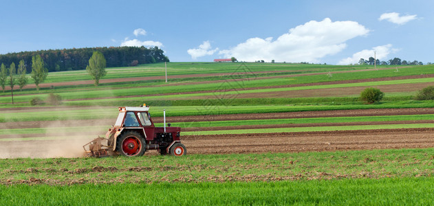 春季带条田地上的小型拖拉机手罗图片