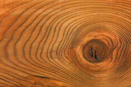 背景天然木材的质地原木的图片