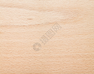 Beech木质图片