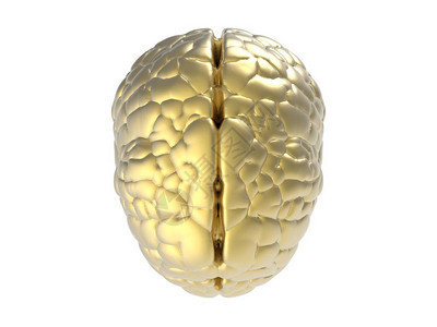 3D将黄金大脑图片