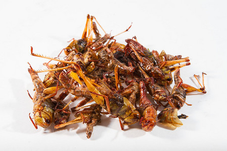 炒昆虫富含蛋白质的食物图片