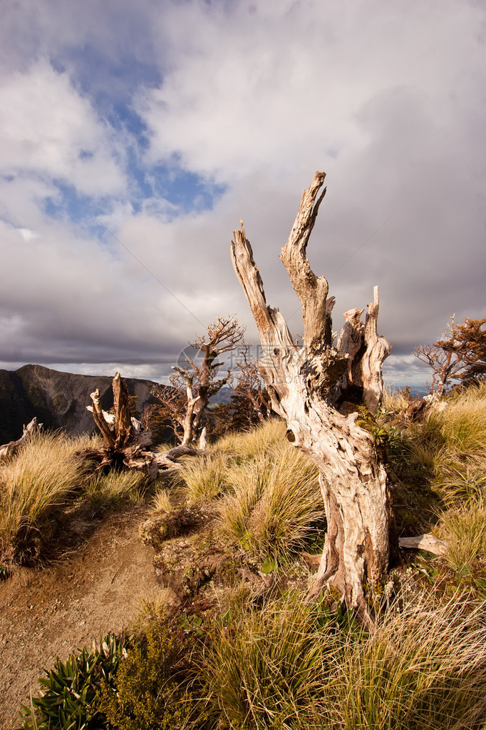 位于新西兰霍克斯湾的鲁阿芬山脉顶端的一个图片