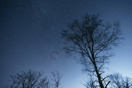 北海道的夜空图片