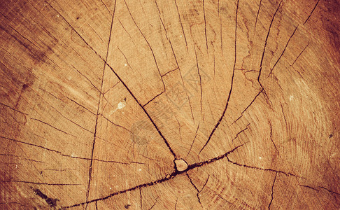 裂缝结构棕色木框架图片
