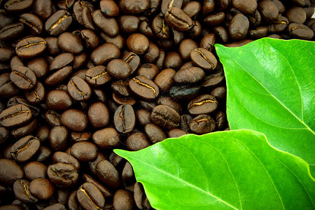烤咖啡豆和叶子图片
