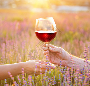 葡萄酒杯反对在日落光芒的淡紫色风景手拿着一图片