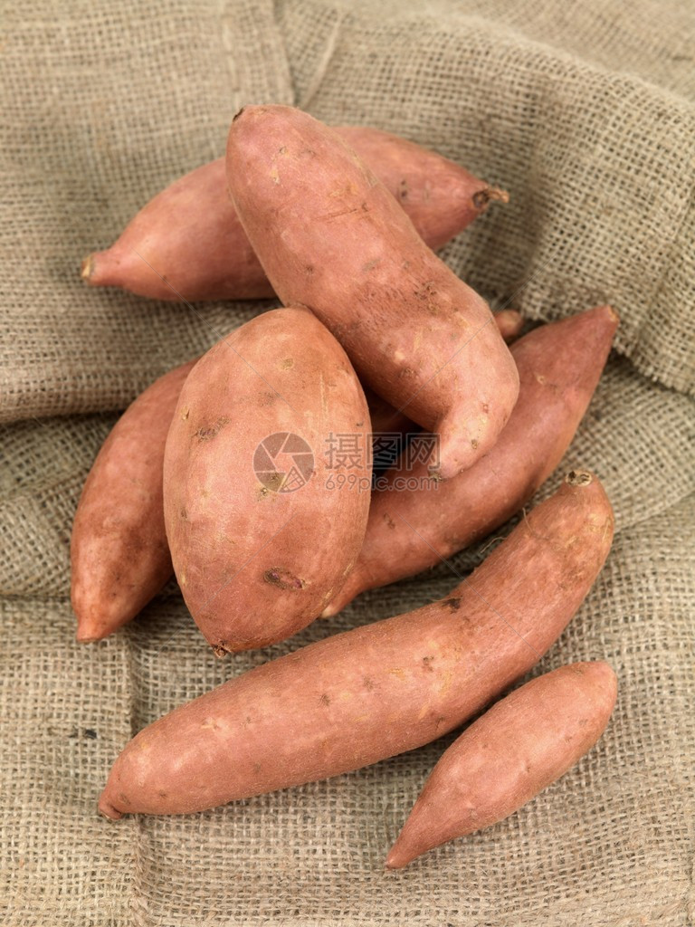 新鲜生长的甜土豆图片