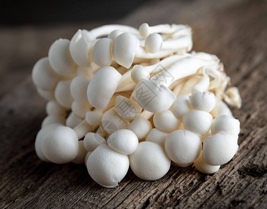 仿古木制桌子上的白色shimeji蘑菇图片