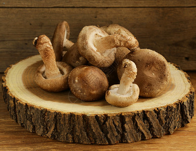 木桩自然背景上的有机蘑菇木耳蜂蜜图片