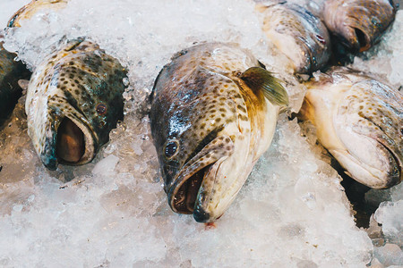在渔民市场上销售的新鲜鱼群渔图片