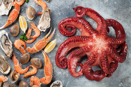 海食章鱼牡蛎龙虾蛤石头桌图片