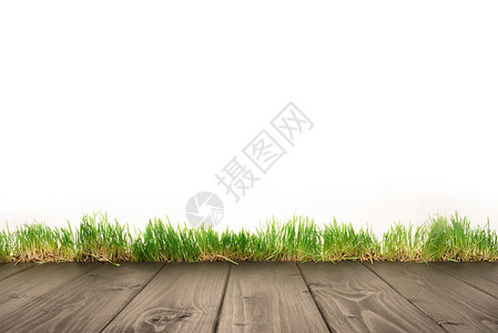 木板和草原背景的整片图片