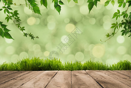 树枝斜板和绿色模糊背景的图片