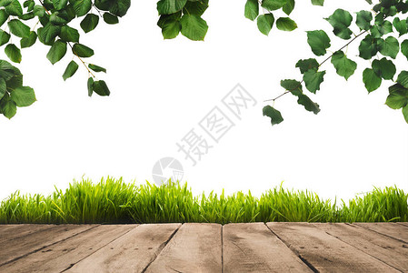 树枝斜木和板背景上的绿叶白图片