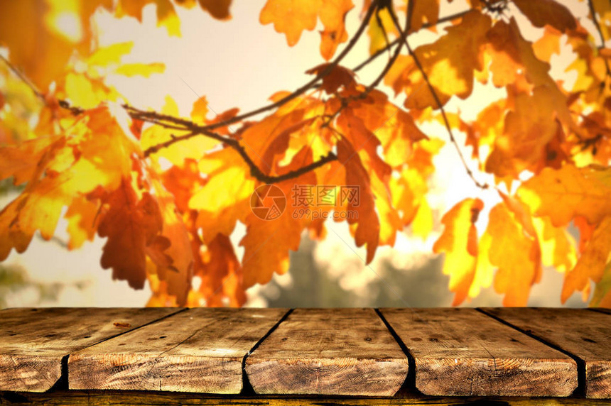 秋天背景的空木桌图片