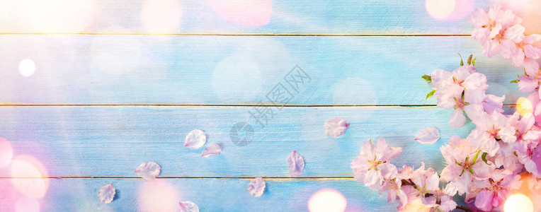 蓝色木桌上的粉色花瓣图片