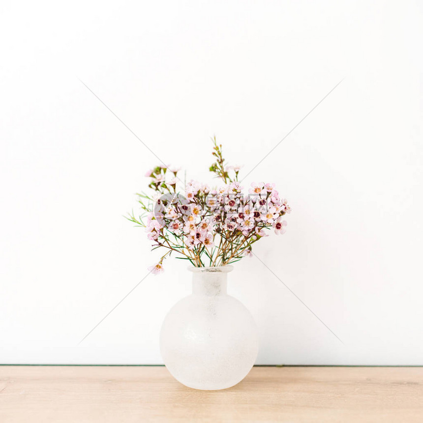 白色背景的花瓶里有野花前图片