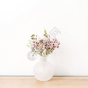 白色背景的花瓶里有野花前图片